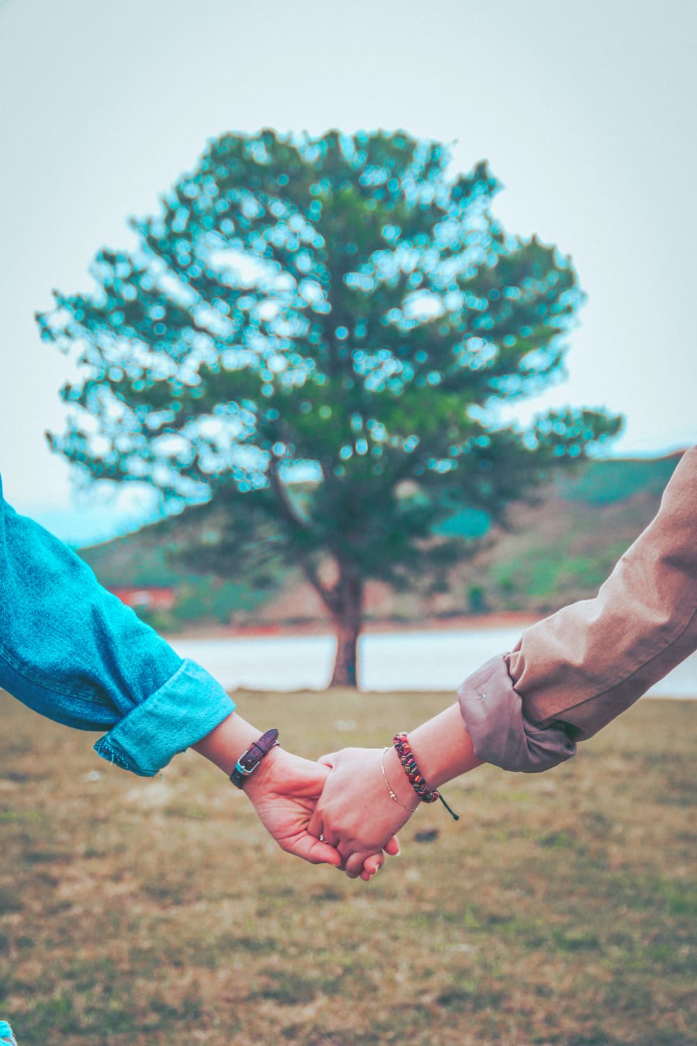 Paartherapie kann Paare wieder zueinander bringen